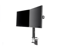 IIYAMA Podwójne ramie montażowe do monitorów DS1002C-B1 - 349197 - zdjęcie 4